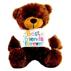 Brown 2 feet Big Teddy Bear wearing a Best Friends Forever T-shirt